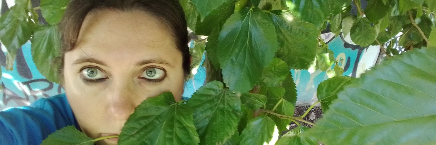 forodebaires's profile banner image