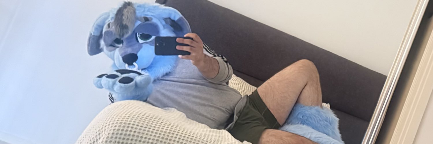 DavadHusky banner