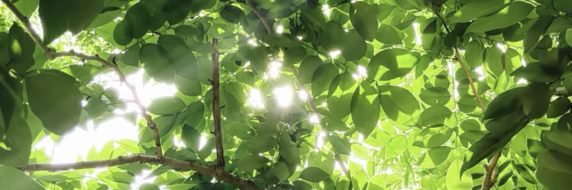 江江姜姜 banner