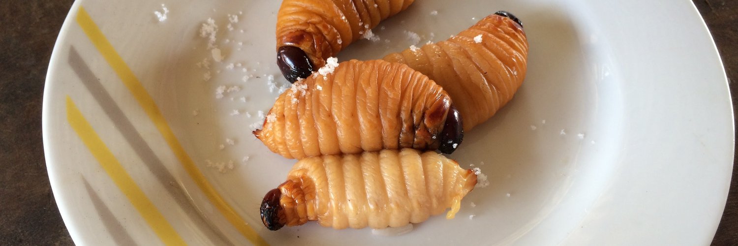 Elizabeth Pillsworth banner