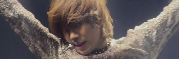 rudicalous Profile Banner