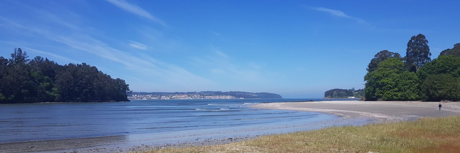 Ángela Meijide banner