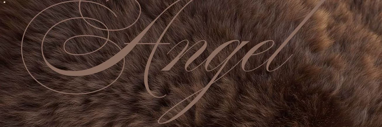 𝓛𝓲𝔃🦇 ݁ ˖ִ ࣪ banner