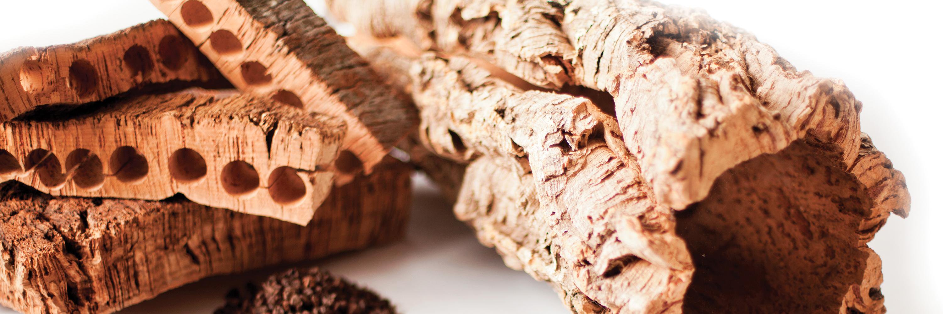 Expanko_Cork's profile banner image