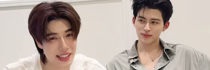 P... banner