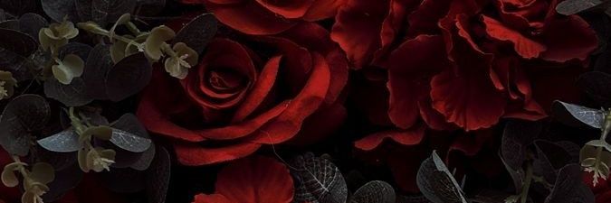 naotodebowie's profile banner image