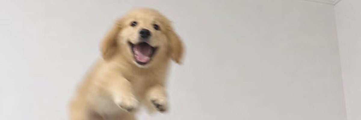 sktharuki's profile banner image