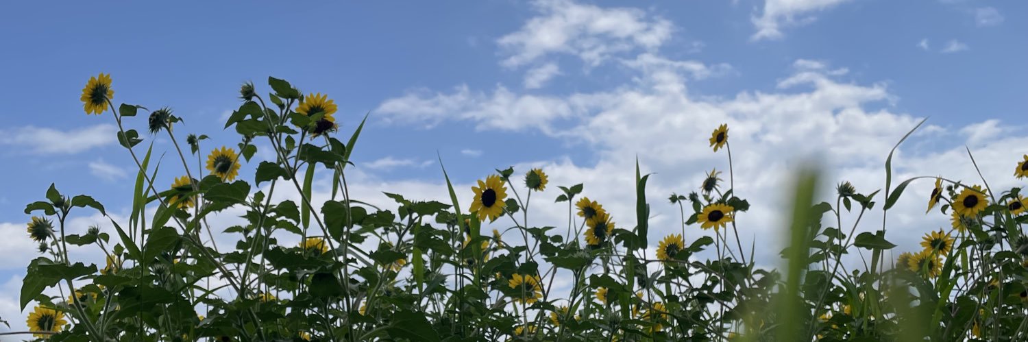 平眈みつき(ぺたんこむ)🐺🏴‍☠️ カクヨム「真相の豆、お挽きします」連載中！ banner