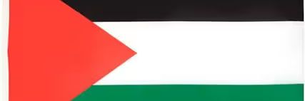 ali banner