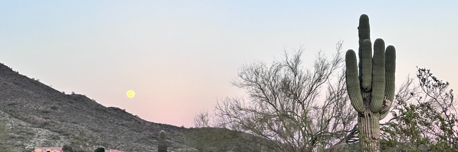 keelycaul's profile banner image
