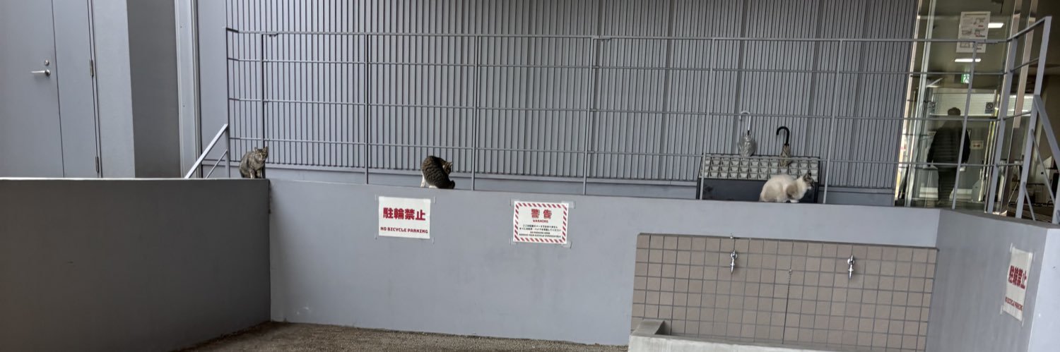 上 banner