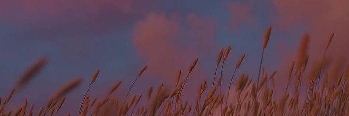 dawnesky's profile banner image