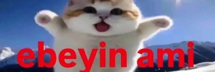aneelheisy's profile banner image