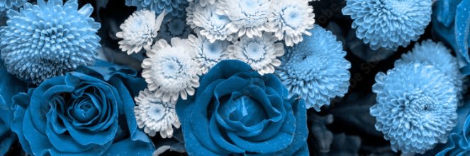 Cornflower banner