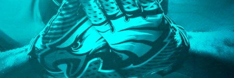 PhillyGuyInVa banner