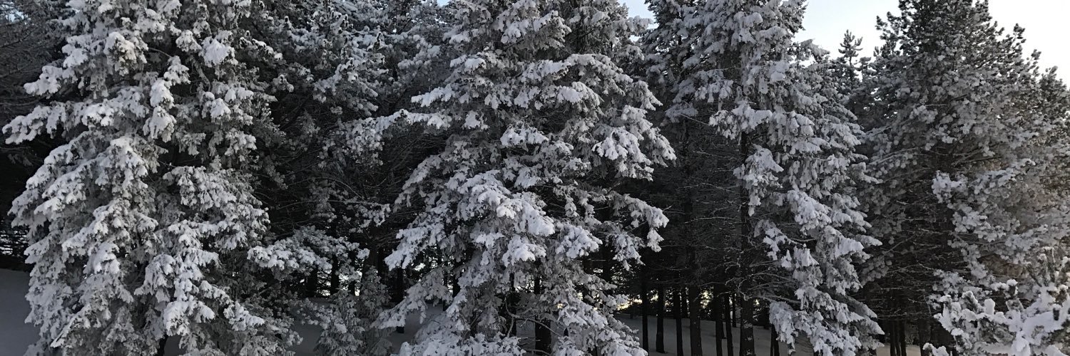 jessihldgo's profile banner image