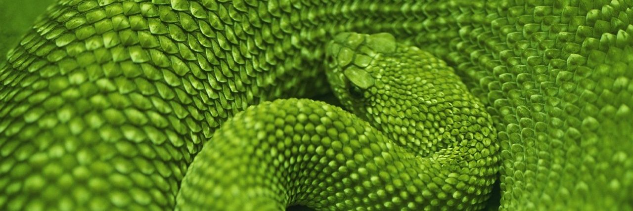 tocadacobra's profile banner image