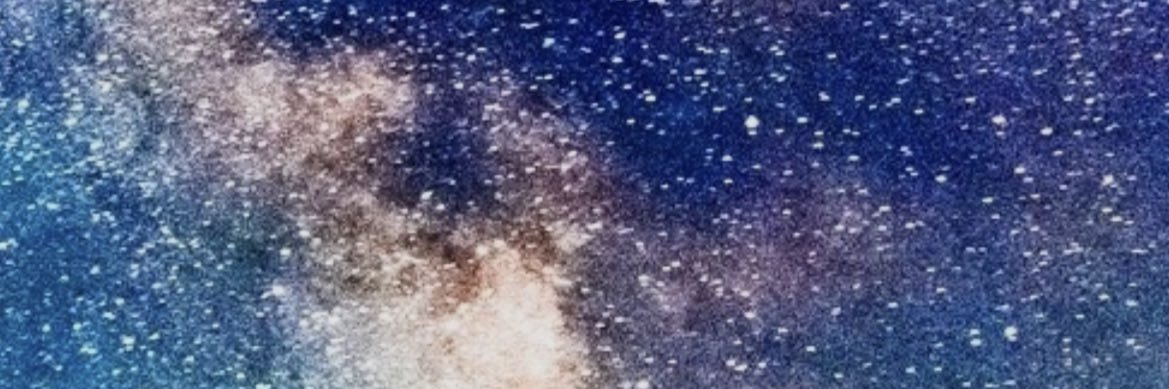 BirbJester's profile banner image