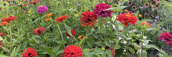 mimiisanerd Profile Banner