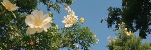 mar banner