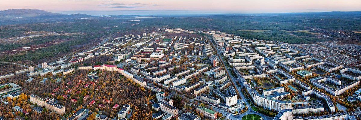 molecular vernacular banner