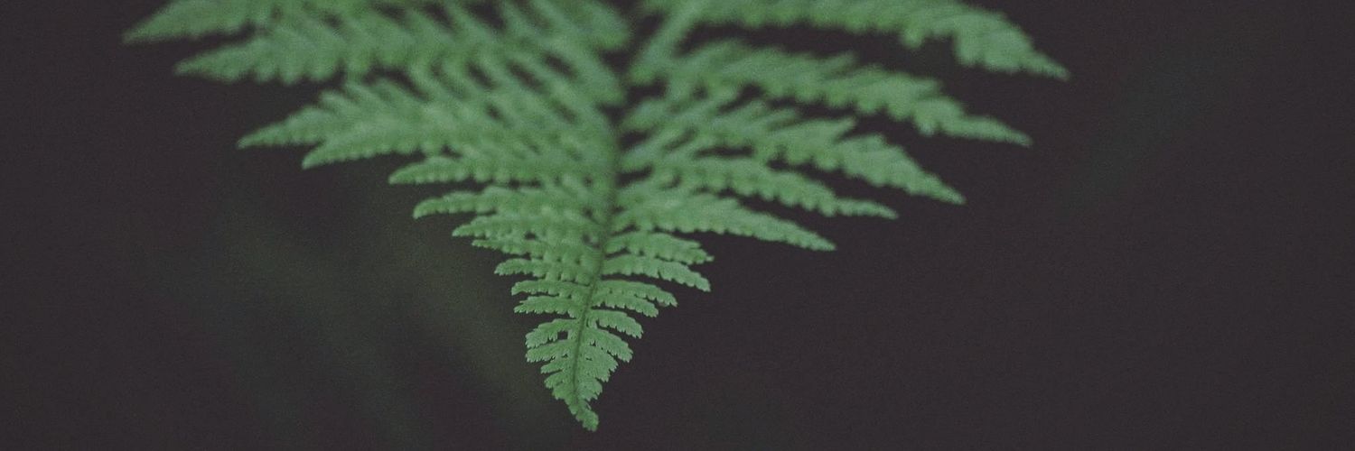 greenestboho's profile banner image