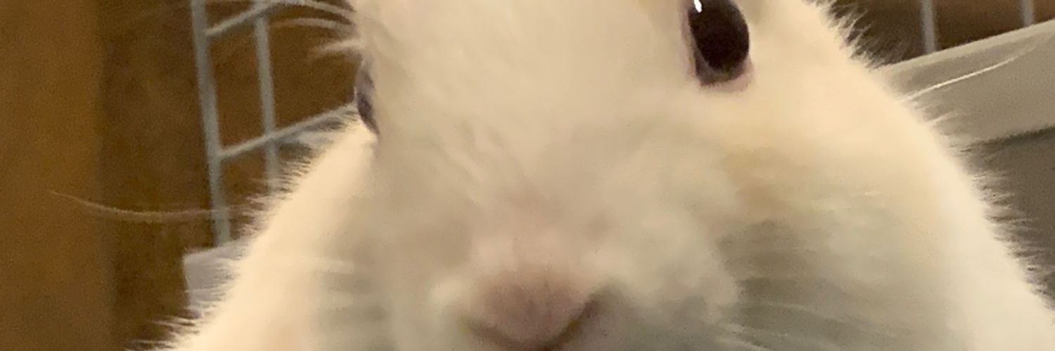 susANA (⁠◕⁠ᴗ⁠◕⁠✿⁠) Aya Oosawa of edtwt banner