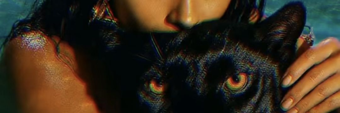 felinasmalditas's profile banner image
