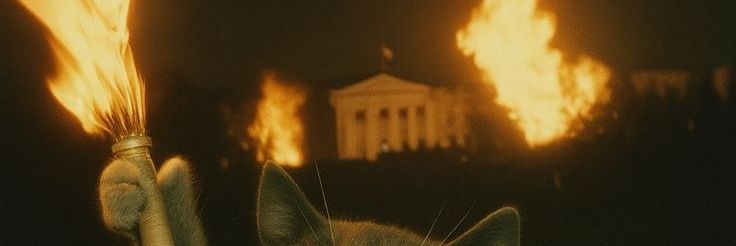 DasCatipall's profile banner image