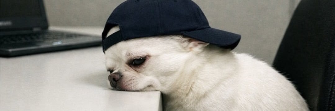 EAZZDrop's profile banner image