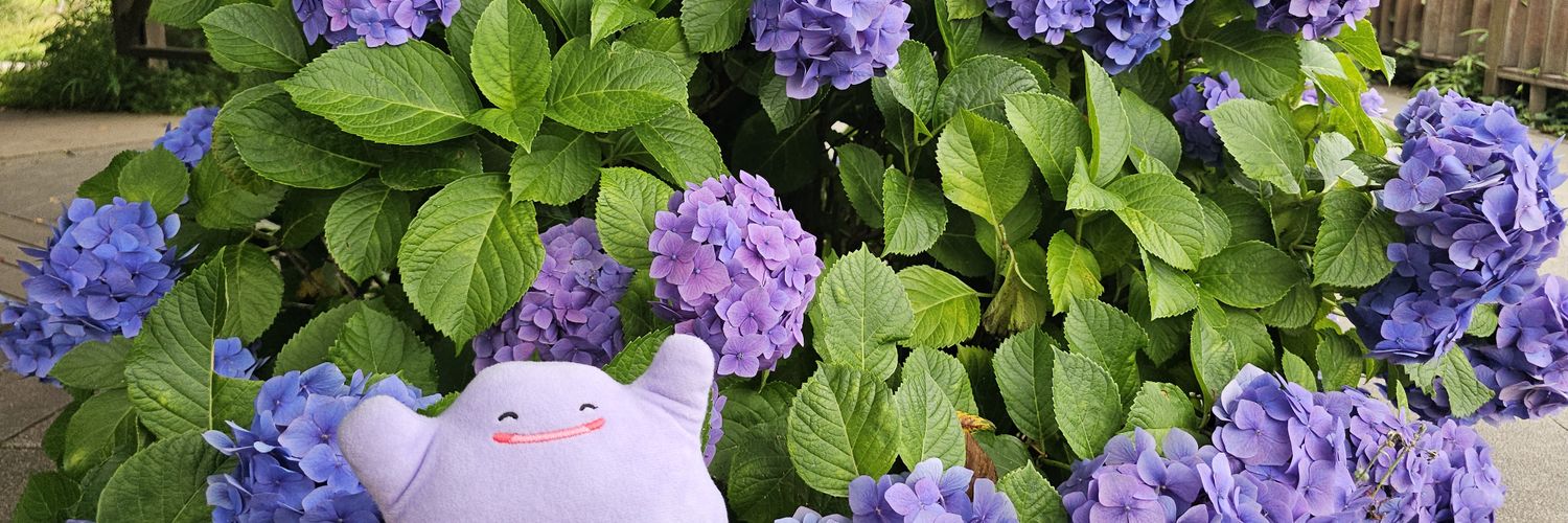 MonMonMetaMon1's profile banner image