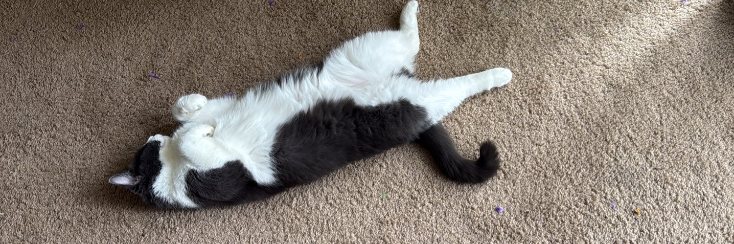 did you even check? banner