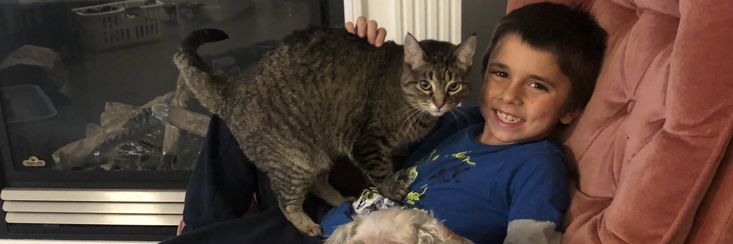 edmontonstevo's profile banner image