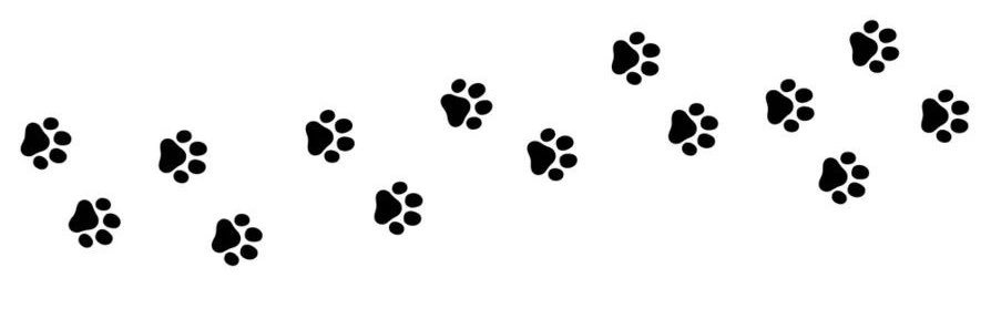 eomppup's profile banner image