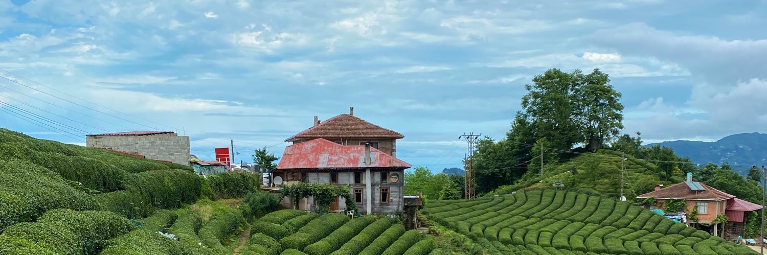 yasemin anday banner