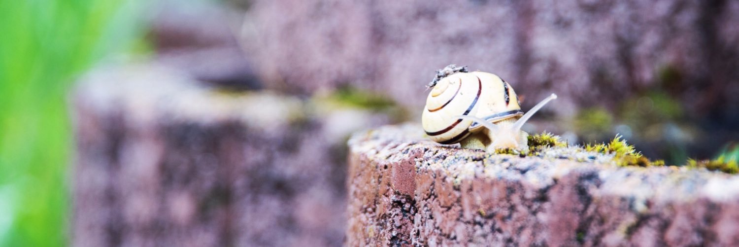 NMuench's profile banner image