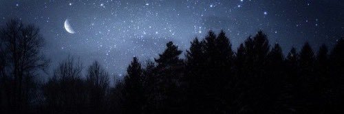 𝐓𝐇𝐄 𝐔𝐏𝐆𝐑𝐀𝐃𝐄. banner
