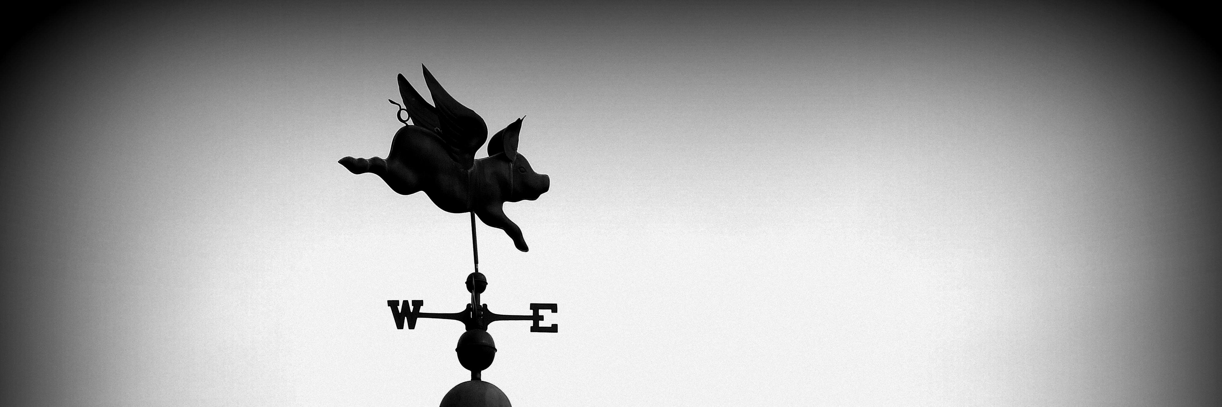 JAYBCD's profile banner image