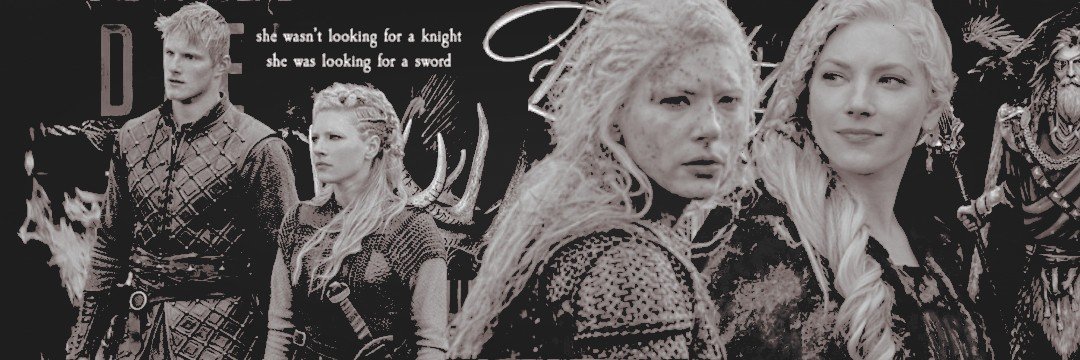 SHIELDMAER's profile banner image