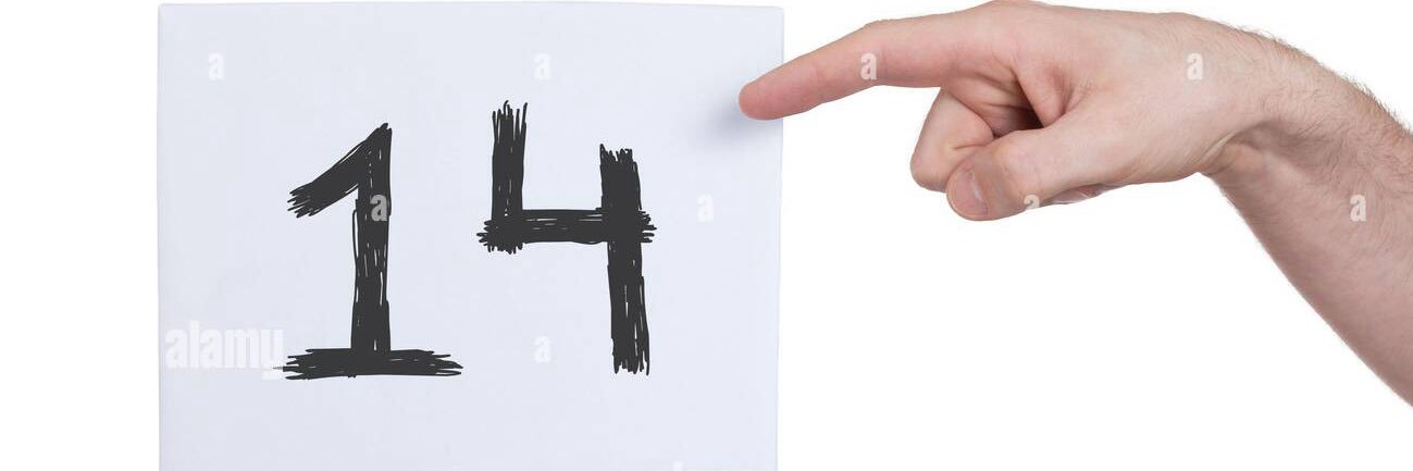 the noelle holiday of edtwt banner