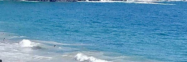 AmberLMatthews Profile Banner