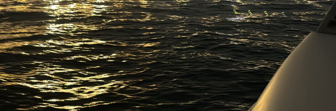 ↺ banner