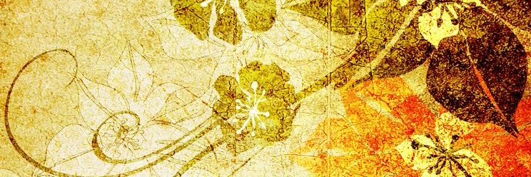Kenna banner