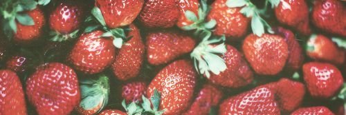 💖 🌏 banner