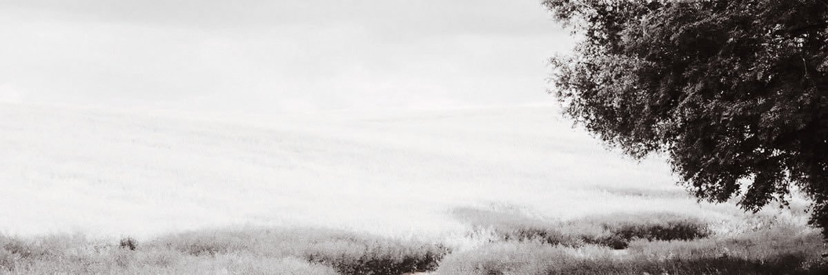 mrorball's profile banner image
