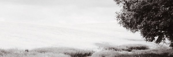 mrorball Profile Banner