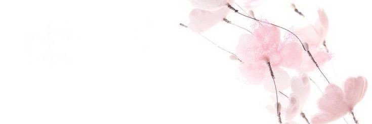 idearelativa's profile banner image
