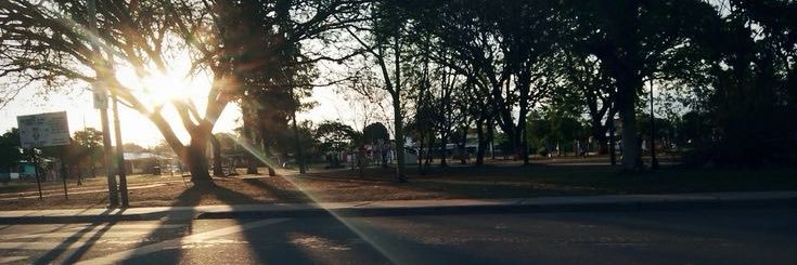 Momooi_'s profile banner image