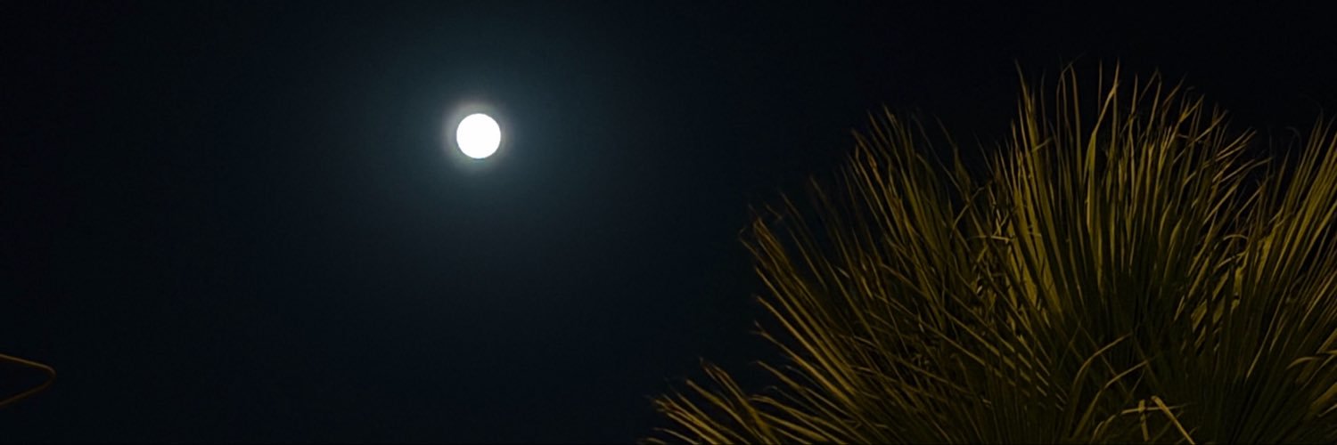 RgorNgeousD's profile banner image