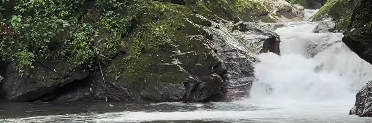 PILLOINK 🔥 banner